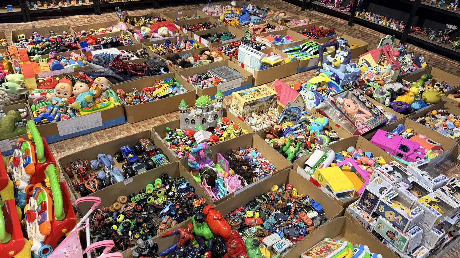 Branded toy shelves with imported toys for Toyzoona bulk buyers and resellers